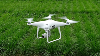 NARO and BANDAI NAMCO Research Inc. developed Smart-Breeding Evaluation Method Using Drones and AI.